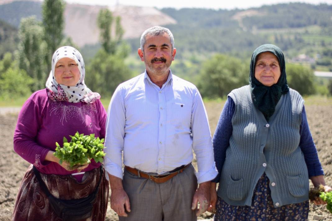 4 Yıl Önce Tescillenmişti! Dikimine Başlandı, Hasat Sonbaharda 2